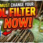 Comparison between a brand new clean pool filter cartridge and a clogged, dirty, green-algae filled pool filter cartridge as a biohazard