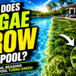 Split view of a clean blue swimming pool and a green algae-infested pool, highlighting a microscopic view of algae cells to explain the biological causes of green pool water.