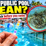 Hand holding a pool water test strip in front of a crowded public swimming pool with an inset showing dirty drain and algae buildup