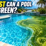Pool rapidly transforming from crystal clear blue water to green with algae, illustrating the speed of water change.