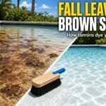 Brown tannin stains from fall leaves on a Florida pool floor, before and after cleaning